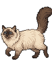 Pixel Palace Animated Header